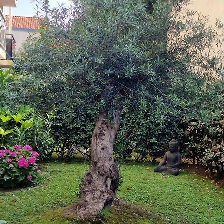 Superbe Appartement Avec Jardin Saint Charles Biarritz Dış mekan fotoğraf