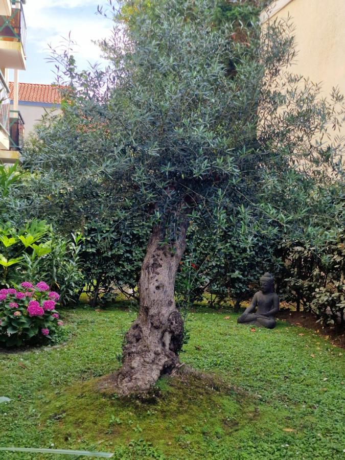 Superbe Appartement Avec Jardin Saint Charles Biarritz Dış mekan fotoğraf